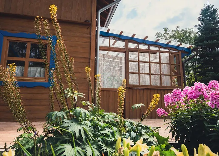 Przystanek Jeziorna 49 *